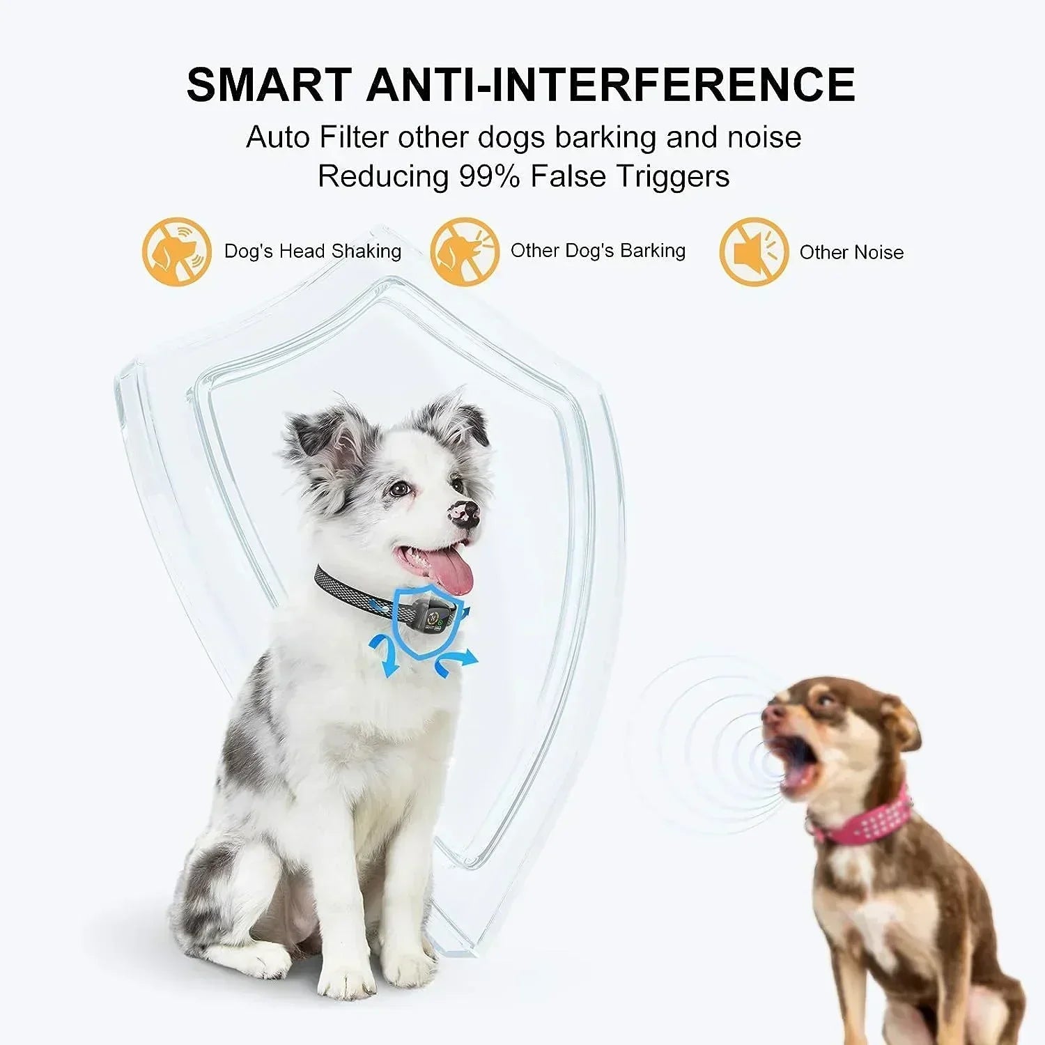Small Dog Bark Detection Collar, Rechargeable, IP67 Rated