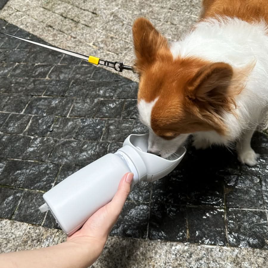 Skládací láhev na vodu pro domácí mazlíčky s kapacitou 550 ml - Fioriscas