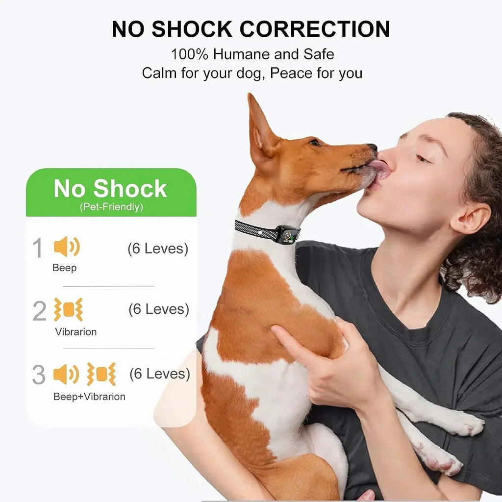 Small Dog Bark Detection Collar, Rechargeable, IP67 Rated
