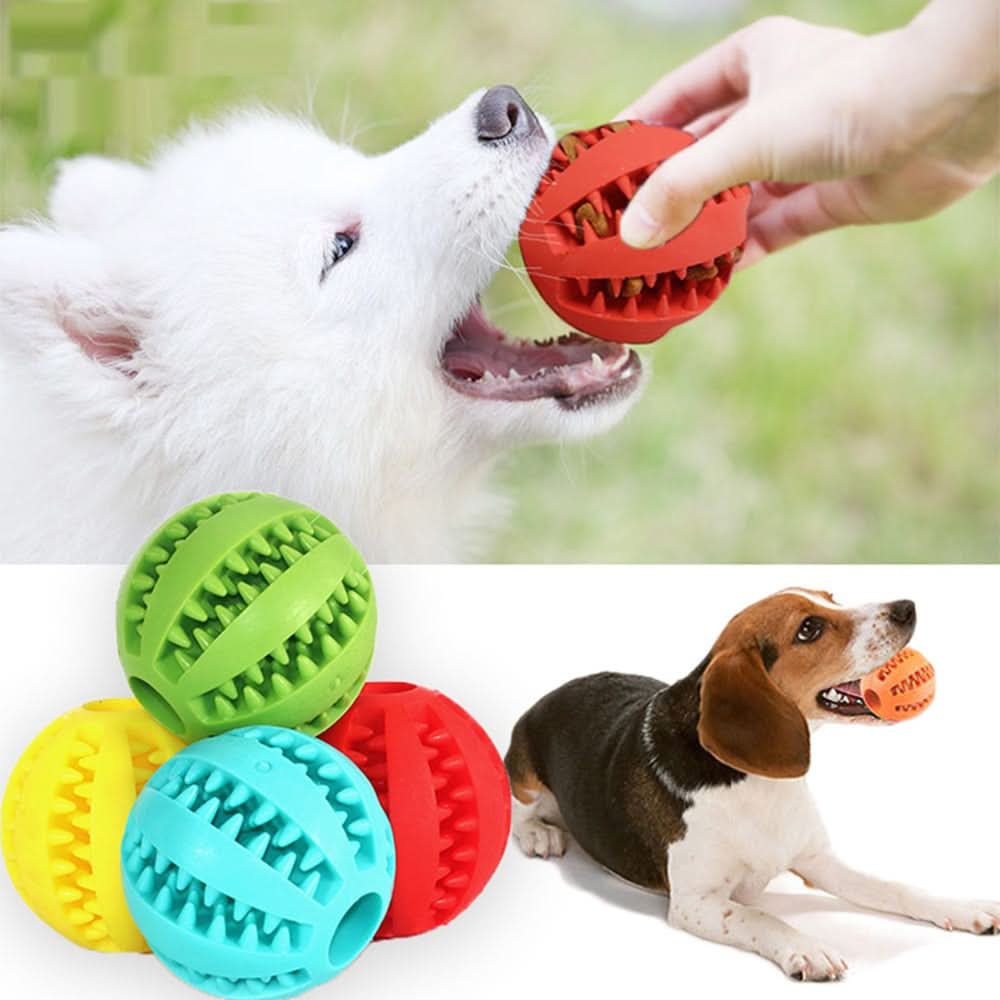 Interactive dog toy with dental care effect - Fioriscas