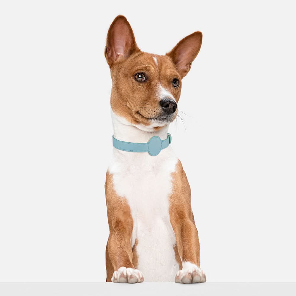 Collar para perro con soporte integrado para AirTag para seguridad y estilo - Fioriscas