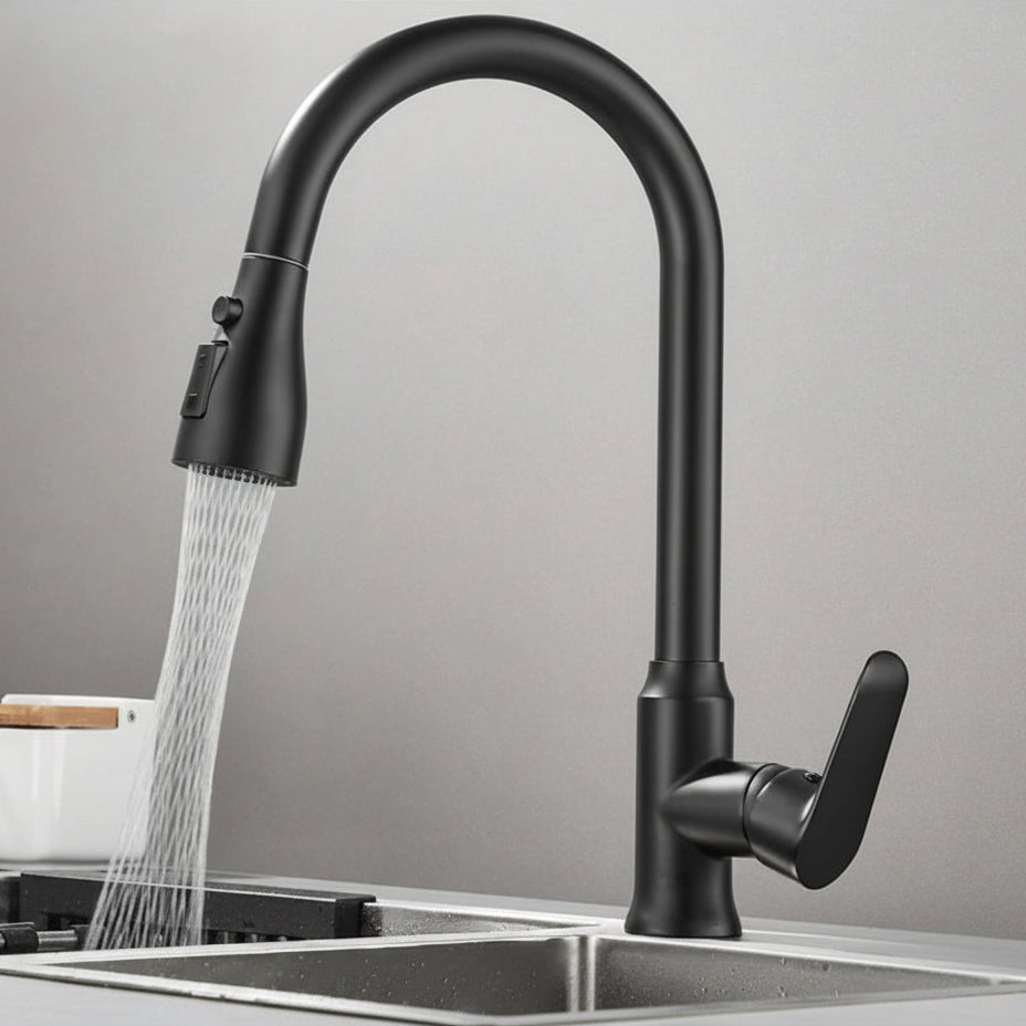 Elegant kitchen faucet with pull-out function and 360° rotation - Fioriscas