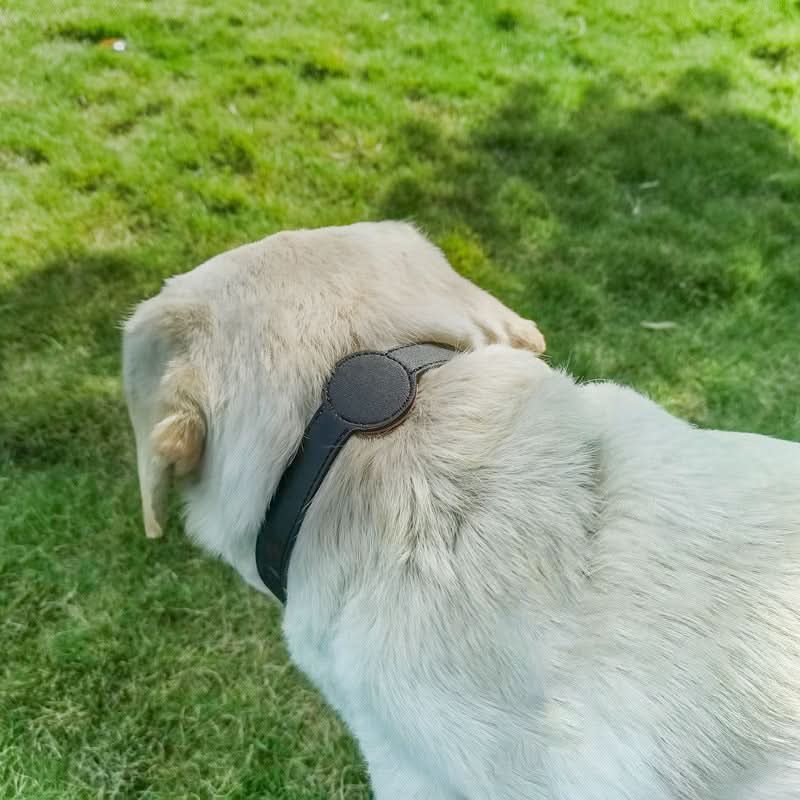Collar para perro con soporte integrado para AirTag para seguridad y estilo - Fioriscas