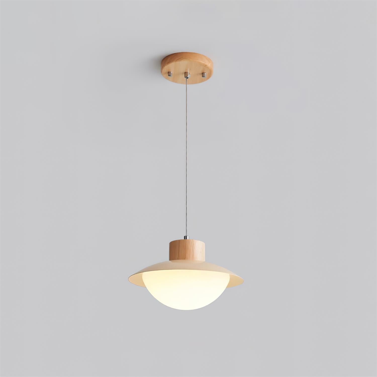 Pendant Lamp Metal and Wood PE Shade Dome Shape Minimalist | Fioriscas