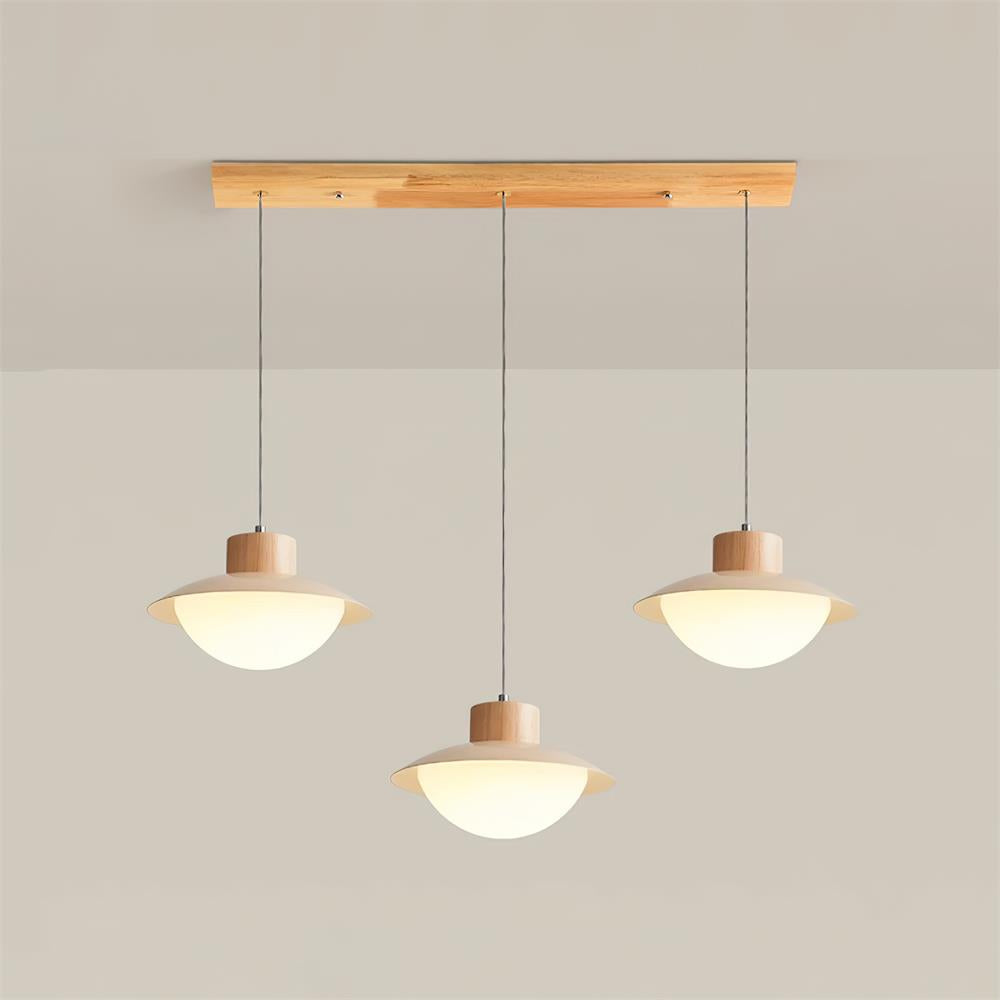 Pendant Lamp Metal and Wood PE Shade Dome Shape Minimalist | Fioriscas