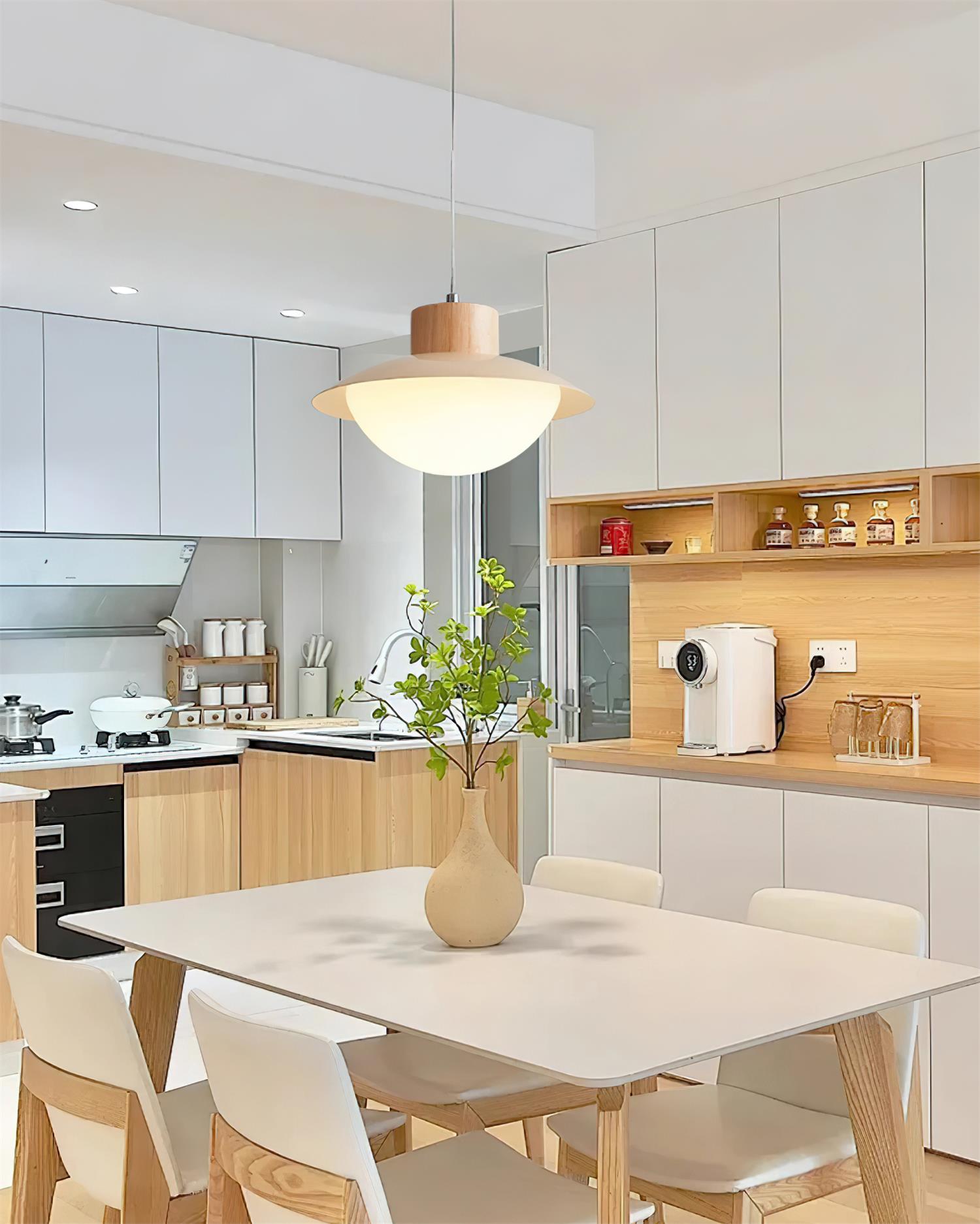 Pendant Lamp Metal and Wood PE Shade Dome Shape Minimalist | Fioriscas