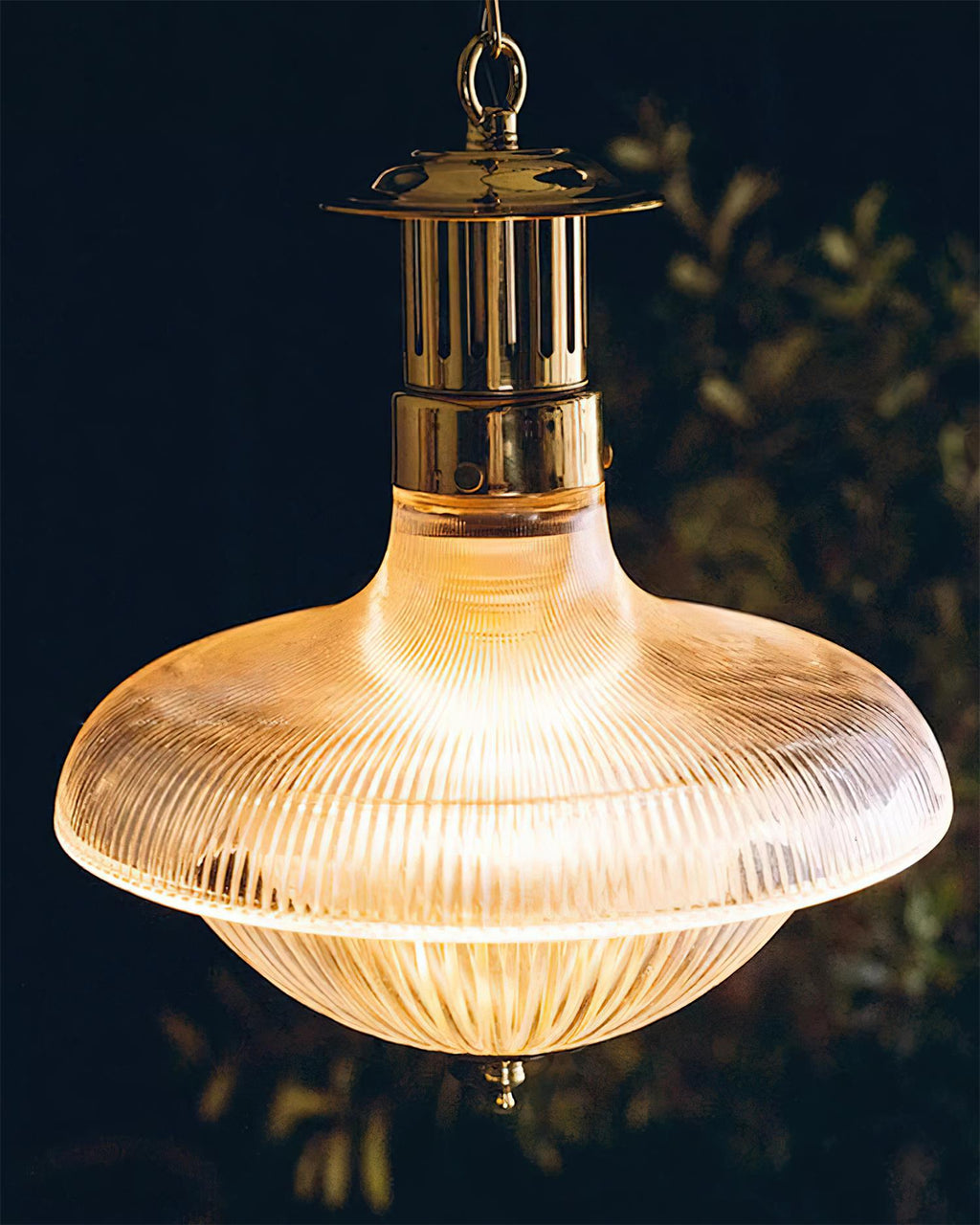 Orvel Clear Ribbed Glass Pendant Light | Fioriscas