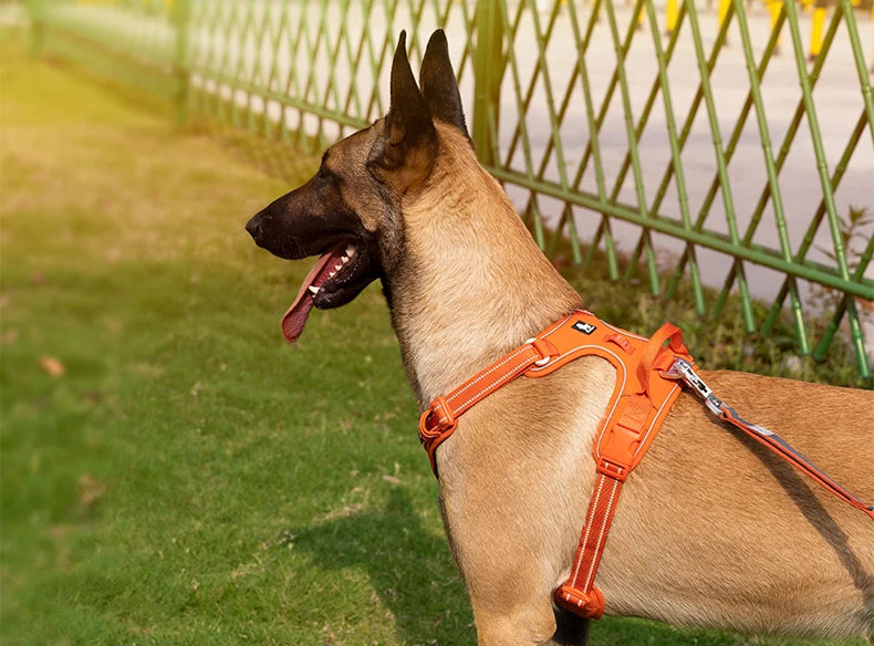 Postroj proti tahání pro psy od AstraPaw, reflexní nylon, XS až XL