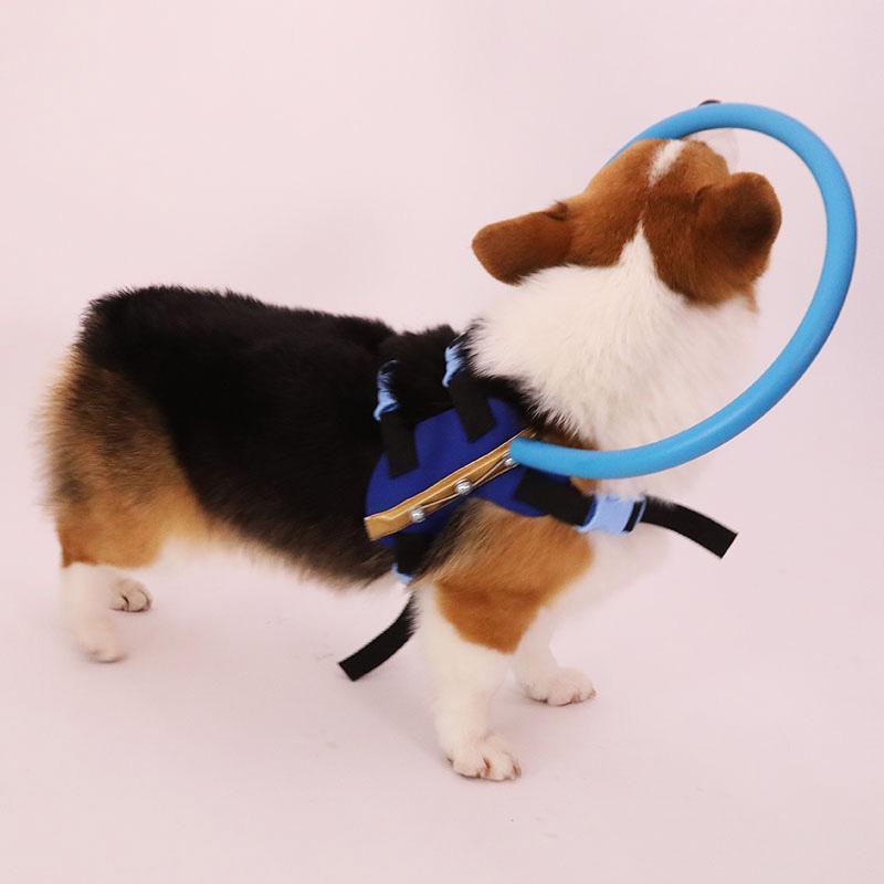 WandaPaws Führhalsband mit Stoßschutz für blinde Hunde, Größen von S bis L