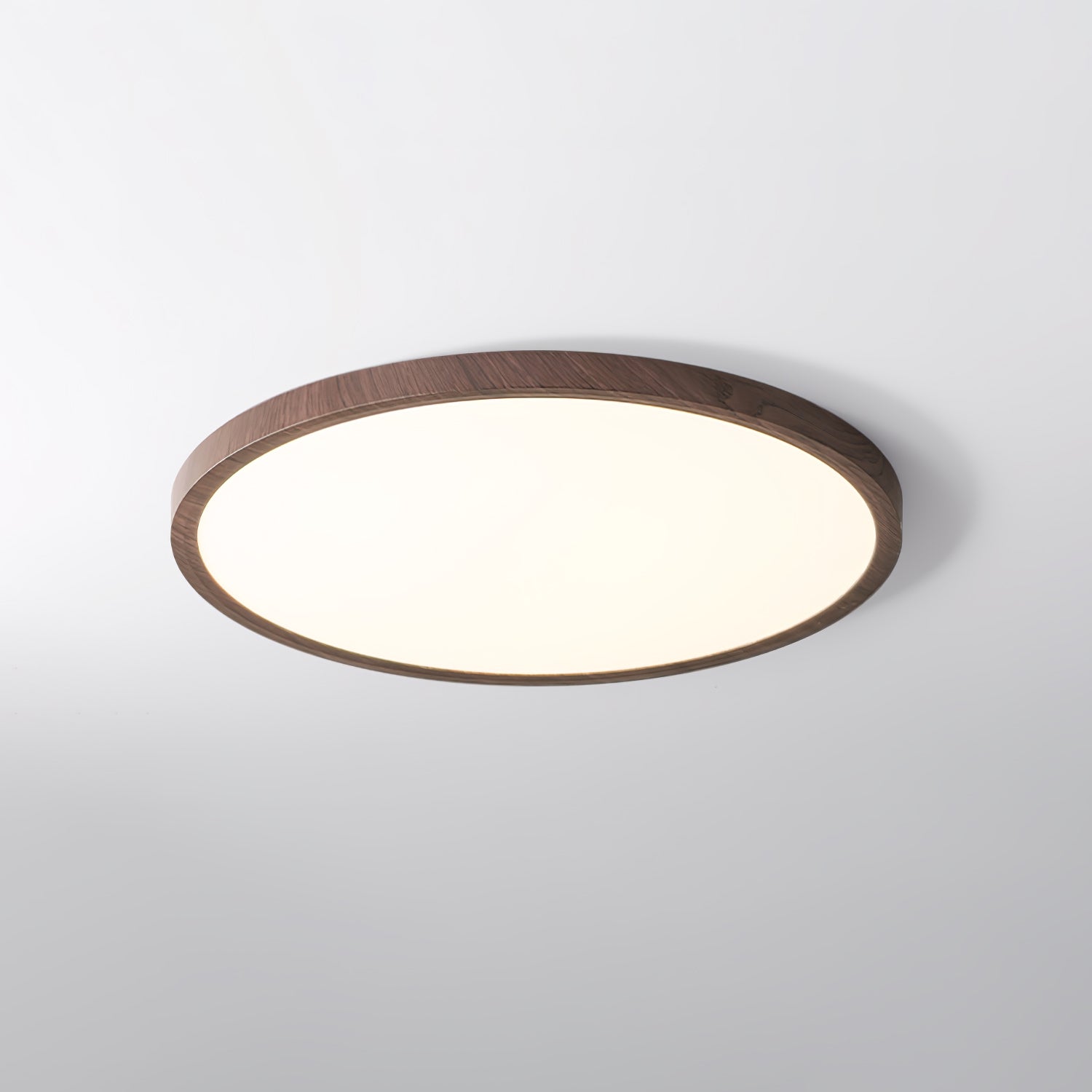 Ivera Ultrathin Round Ceiling Light | Fioriscas