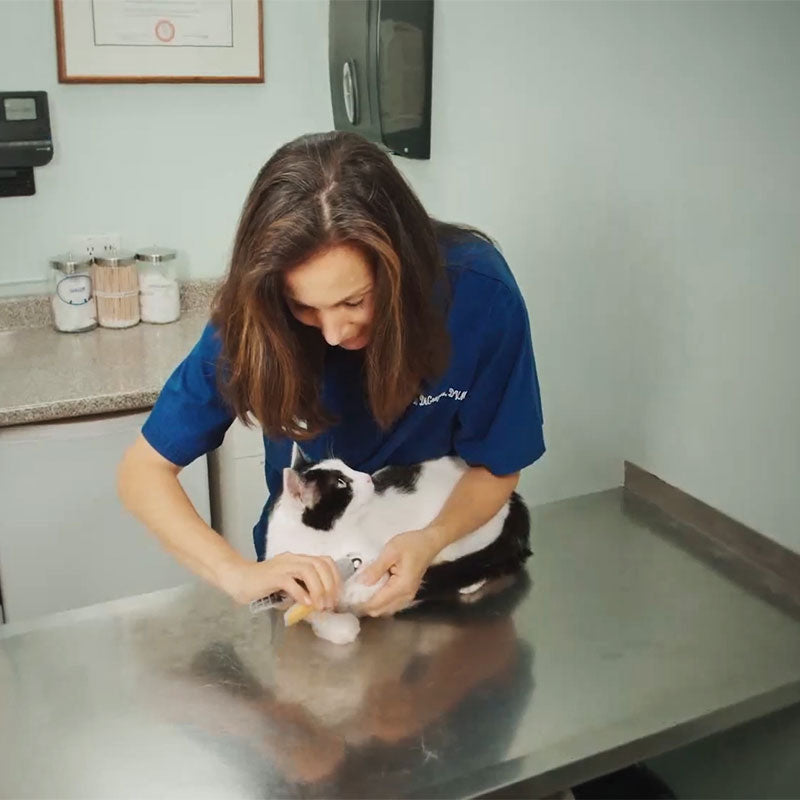 PawGuard Pro Nail Clippers for Dogs With Quick Sensor Detection