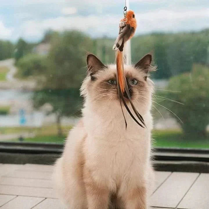 Interactief kattenspeelgoed met fladderende vleugelbewegingen - Fioriscas