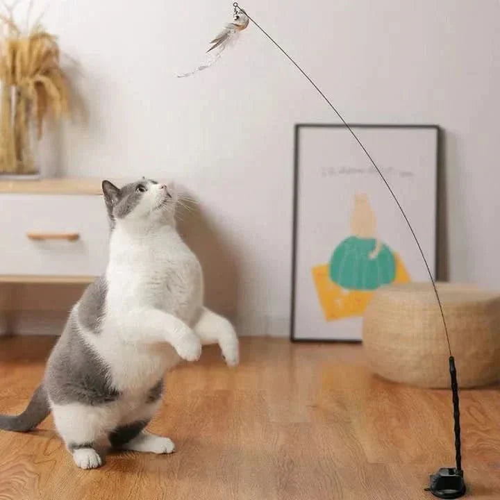 Interactief kattenspeelgoed met fladderende vleugelbewegingen - Fioriscas