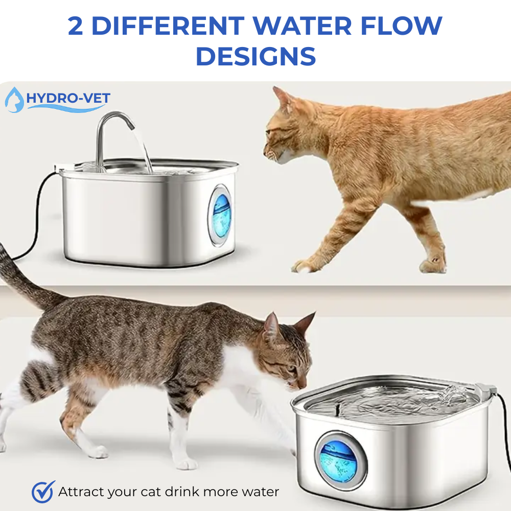 Pet Water Fountain, AeroQuell Whisper-Quiet Filtered Hydration