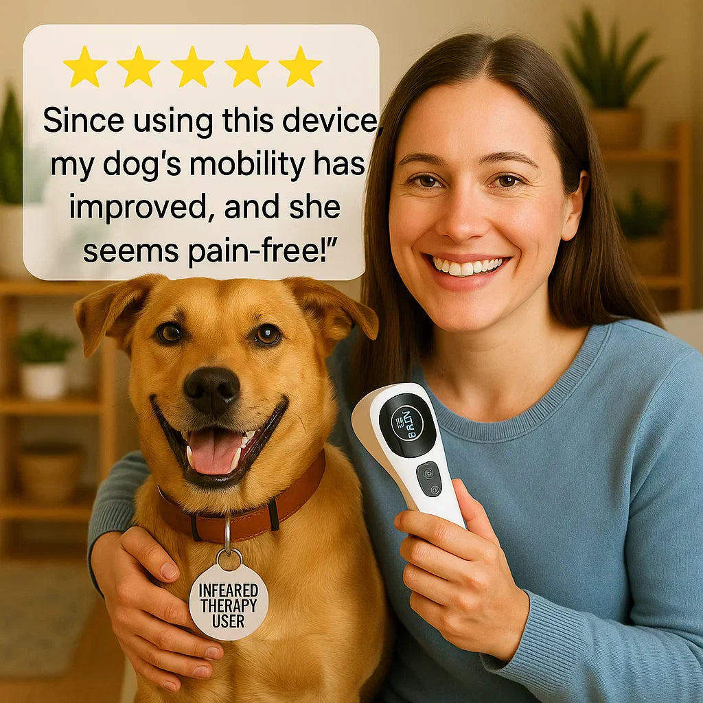 CanineLuma-Lasertherapie zur Unterstützung des Wohlbefindens und der Haut von Hunden