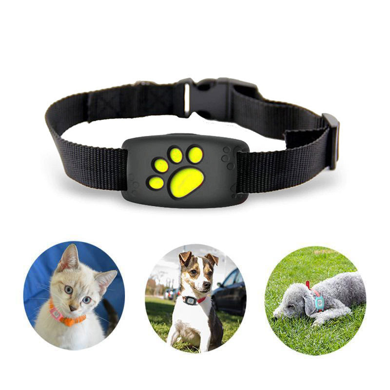 Collar para gatos WhiskerGuard con ubicación GPS en tiempo real y alertas de geovalla