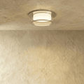 LumenAura Sleek LED Downlight With Acrylic Shade Gold And Silver Finish