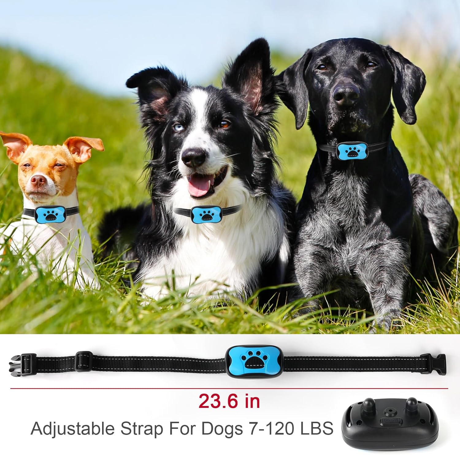 Collare antiabbaio intelligente per cani, senza scosse: beep e vibrazione, CalmPaw
