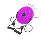 Magnetic Core Twist Board With Resistance Ropes, LumaTwist Balance Trainer