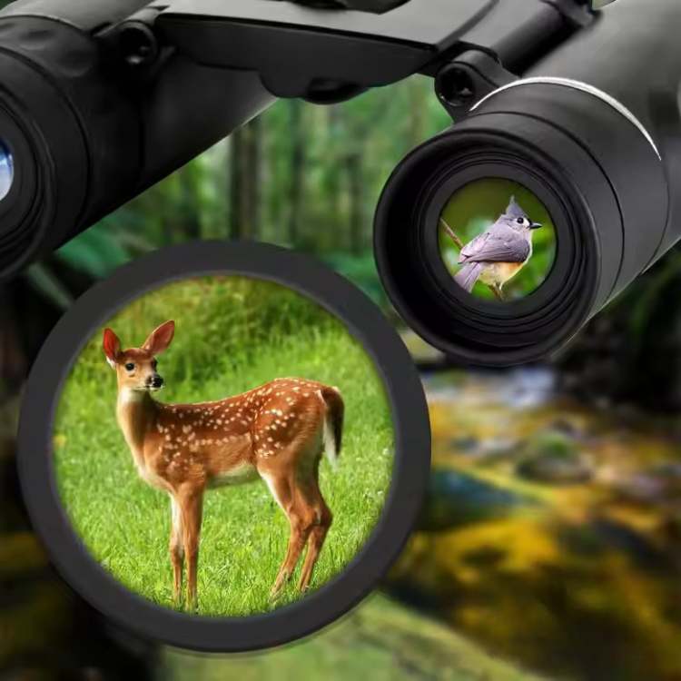 LuminaRidge TrailScout 40x22 HD-Fernglas für Wildtierbeobachtung und Wanderungen