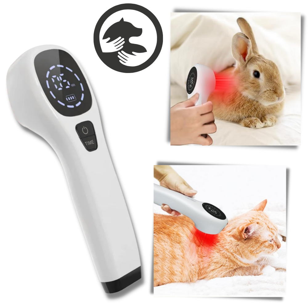 CanineLuma-Lasertherapie zur Unterstützung des Wohlbefindens und der Haut von Hunden