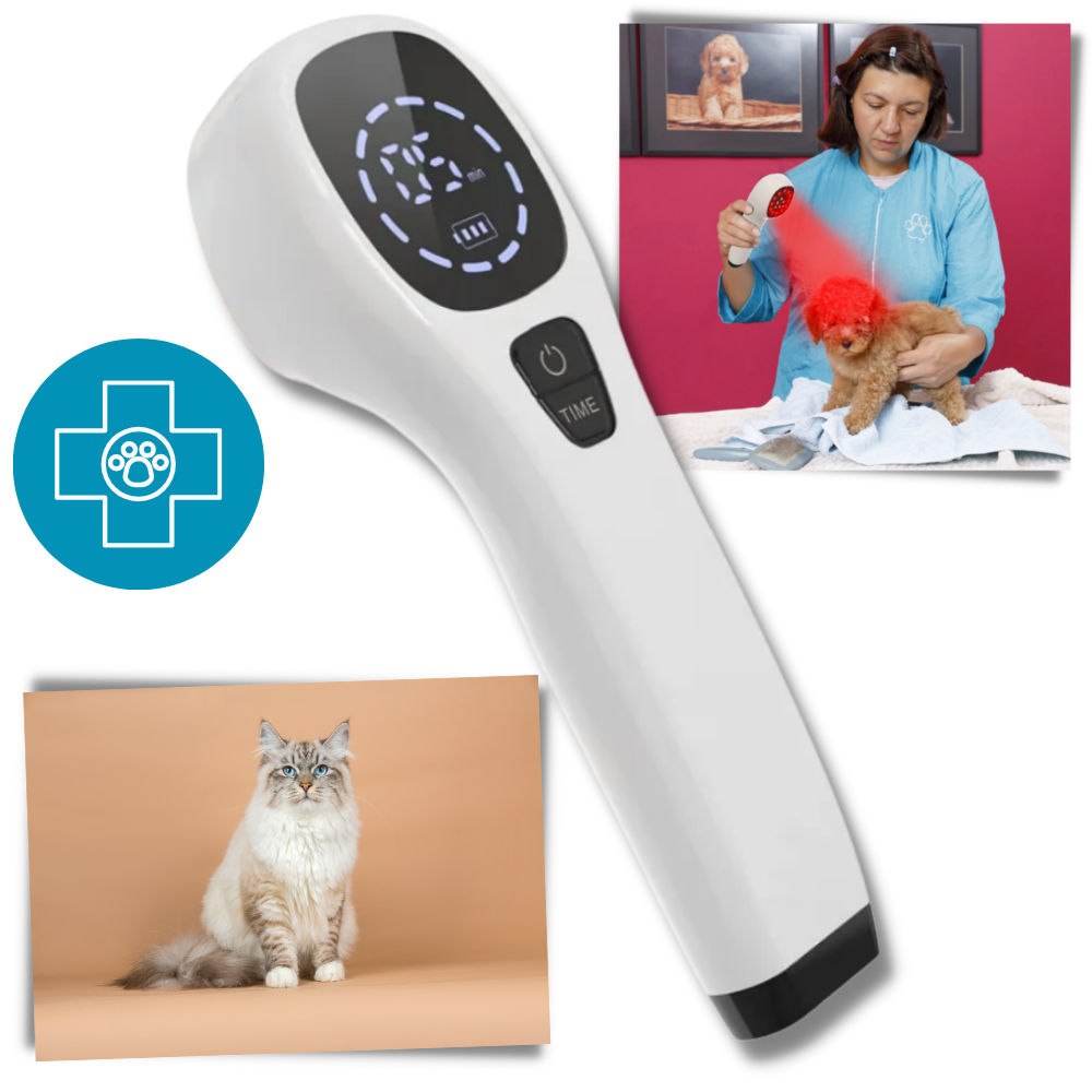 CanineLuma-Lasertherapie zur Unterstützung des Wohlbefindens und der Haut von Hunden