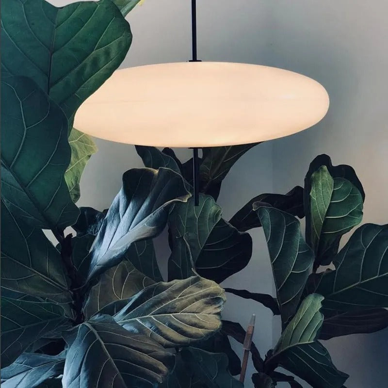 Quor Nordic Modern Oval Single Pendant Light | Fioriscas