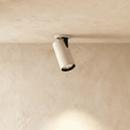 AeroGlow Adjustable Recessed Downlight With Round Trim