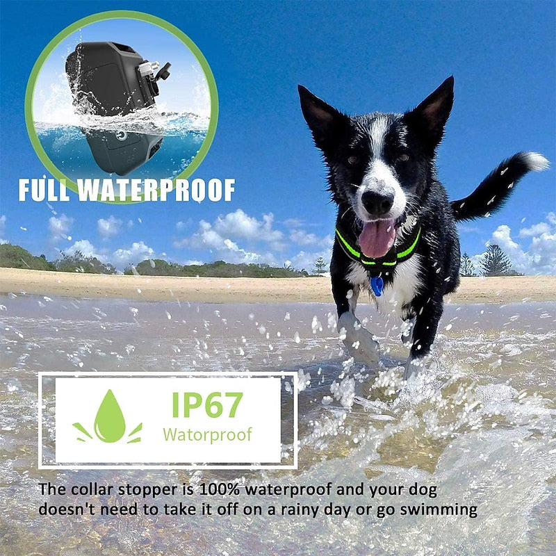 NovaPaw Pro Anti-Bark Dog Collar, Rechargeable & Waterproof