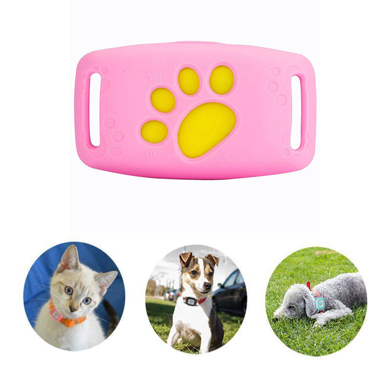 Collar para gatos WhiskerGuard con ubicación GPS en tiempo real y alertas de geovalla