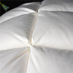LumaNest Goose Down Pillows, Natural Cotton Cover, Set of Two