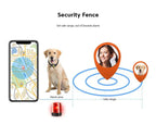 PawGuard GPS-kissaseurain mikrosirutunnisteella ja reaaliaikaisilla sijaintihälytyksillä