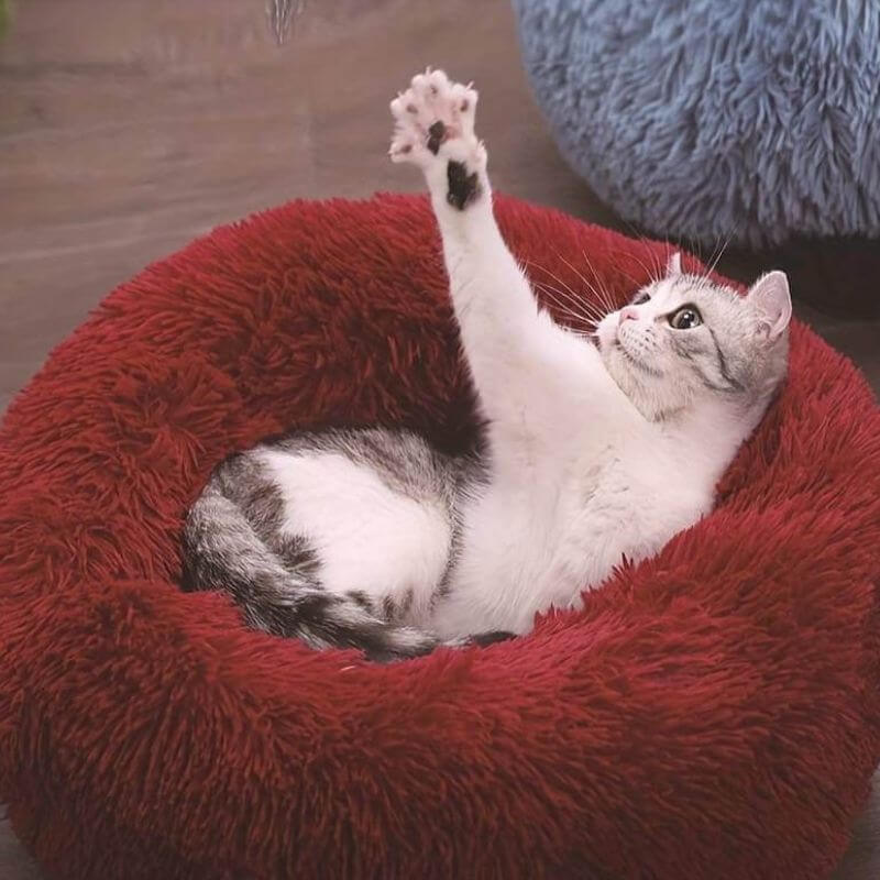 CalmPaws knus kattenbed, zacht kussen in maten XS tot en met XXL